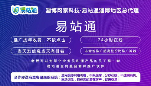 惠民网络推广效果好服务介绍——淄博网泰科技，以专业经验与技术开发助力企业腾飞